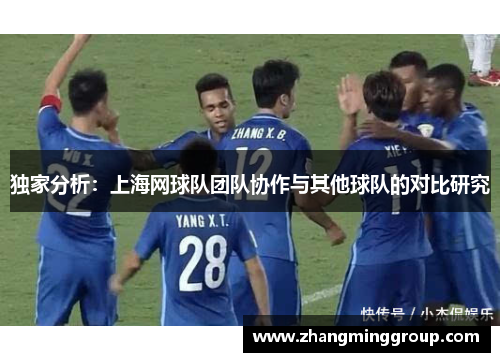 独家分析：上海网球队团队协作与其他球队的对比研究