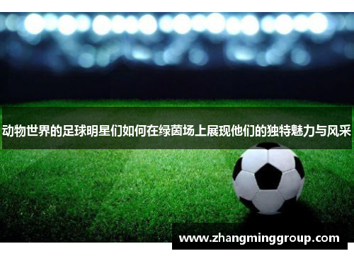 动物世界的足球明星们如何在绿茵场上展现他们的独特魅力与风采